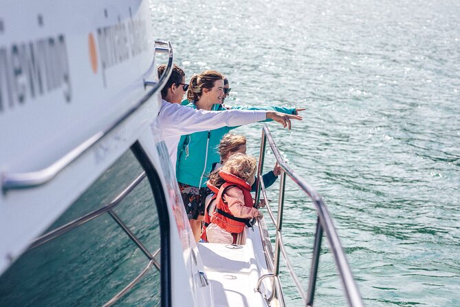 Akaroa Dolphins ~ Harbour Nature Cruise - A roomy catamaran, not a cramped wildlife boat