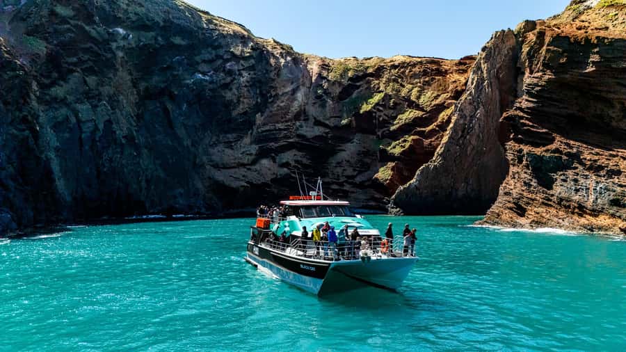 Akaroa Harbour 2-Hour Dolphin Nature Cruise - Scenery Nook, cliffs, and volcanic rock