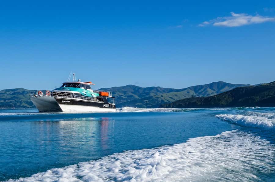Akaroa Harbour 2-Hour Dolphin Nature Cruise - Getting to Akaroa from Christchurch