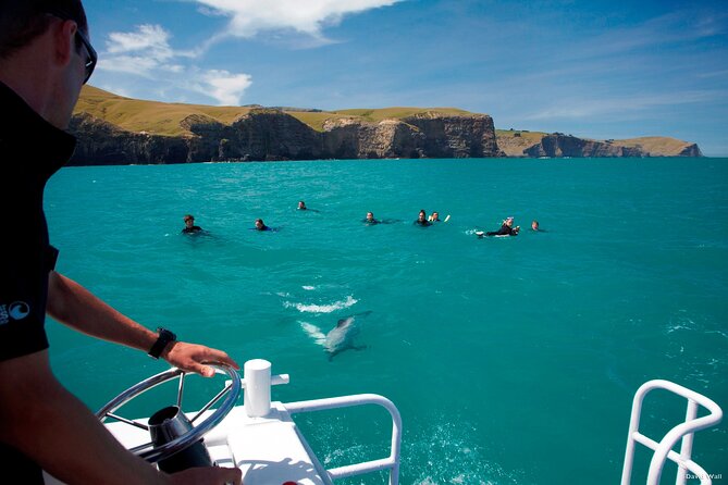 Akaroa Swim with Dolphins Tour from Christchurch - Who should book this Akaroa dolphin trip?