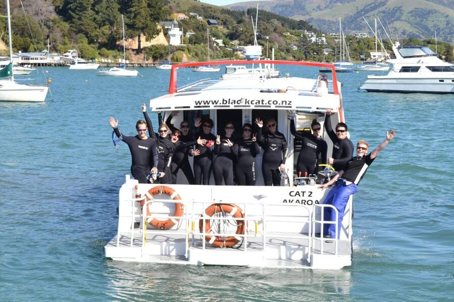 Akaroa: Swimming with Wild Dolphins Experience - Meeting the boat at Black Cat Cruises