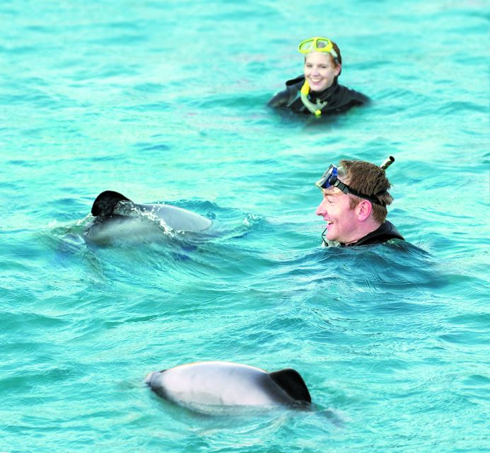 Akaroa: Swimming with Wild Dolphins Experience - The boat crew makes a real difference