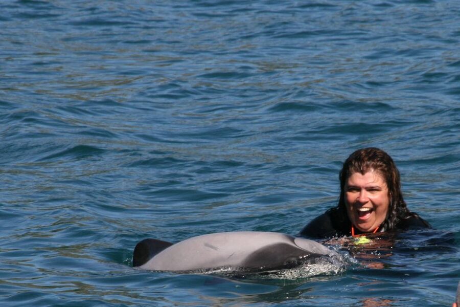 Akaroa: Swimming with Wild Dolphins Experience - The safety briefing tells you what the swim really involves