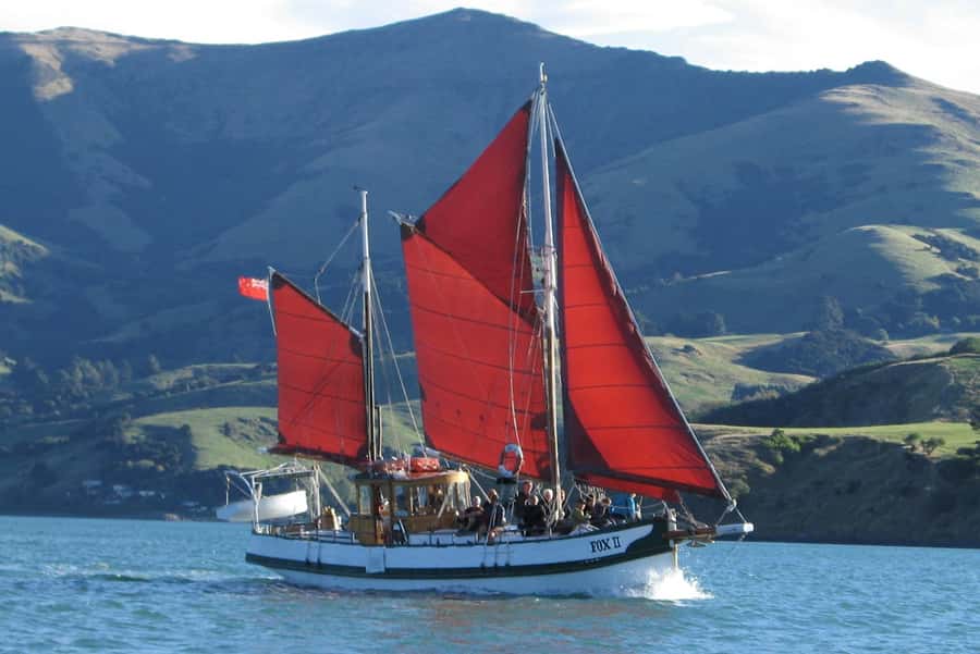 Akaroa: Wildlife Cruise with Dolphins and Penguins - Why this Akaroa sailing trip feels different