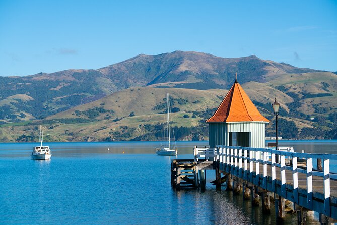 Akaroa with optional dolphin cruise (Small Group Tour) - A guide-led day with room for questions