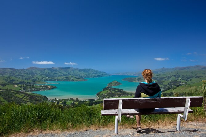 Akaroa with optional dolphin cruise (Small Group Tour) - Kaituna Valley and the afternoon tea break