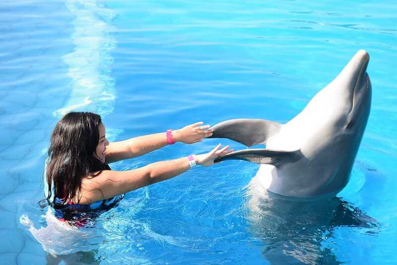 Akumal: Dolphin Encounter - Akumal setting and the beach-day combination