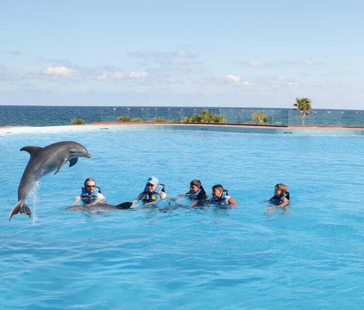 Akumal: Dolphin Encounter - Price, photos, and the real cost