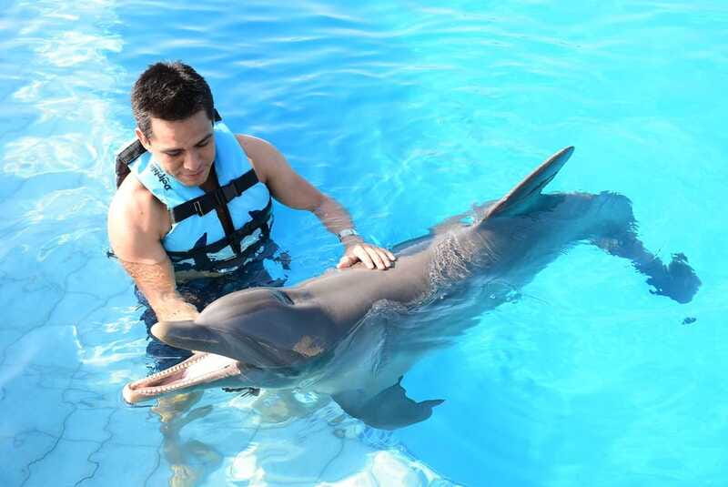 Akumal: Dolphin Encounter - What to bring and what to leave behind