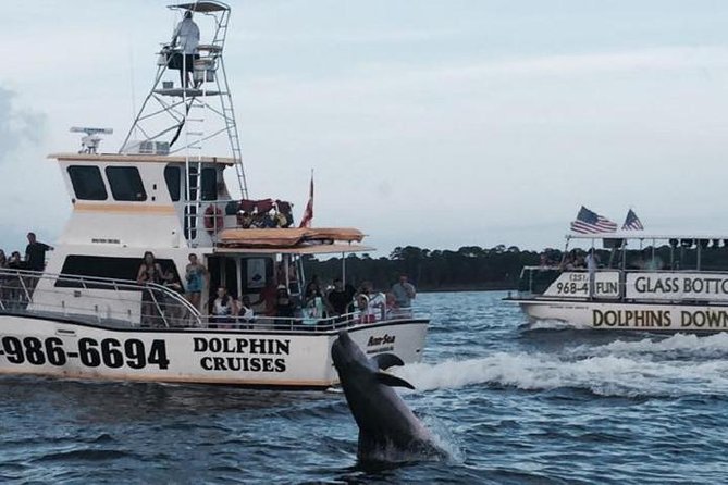 Alabama Gulf Coast Dolphin Cruise - Key things to know before you go