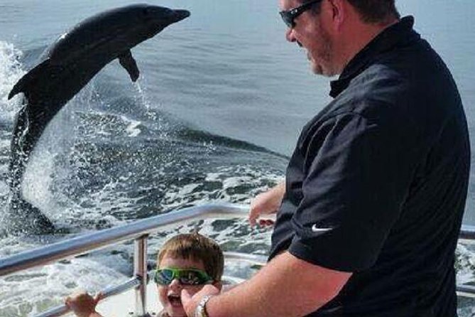 Alabama Gulf Coast Dolphin Cruise - Choosing between a daytime cruise and sunset
