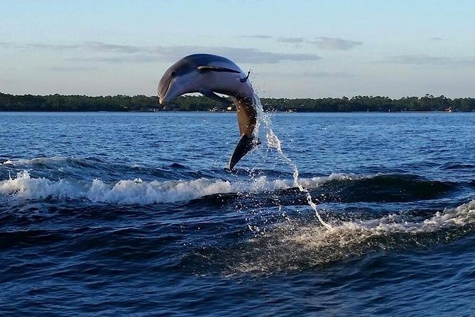 Alabama Gulf Coast Dolphin Cruise - Finding the best viewing spot on the boat