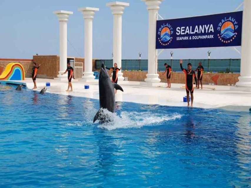 Alanya: Dolphin and Seal Show Ticket with Hotel Transfers - Key points to know before you book