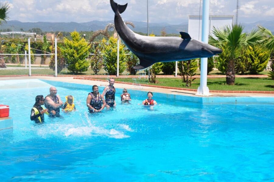 Alanya: Dolphin and Seal Show Ticket with Hotel Transfers - What is included, and what costs extra