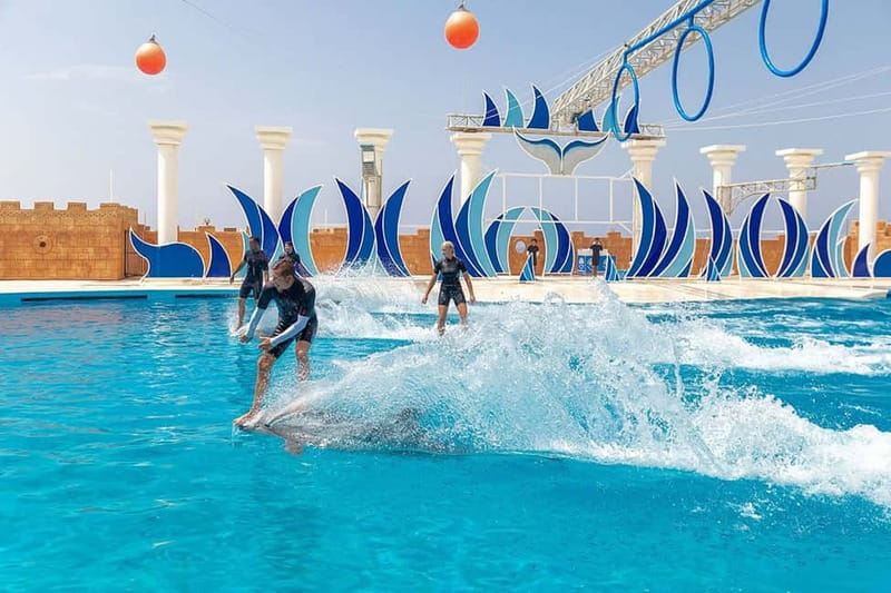 Alanya: Sealanya Dolphinpark Dolphin Show Tour - Dolphin swimming costs extra