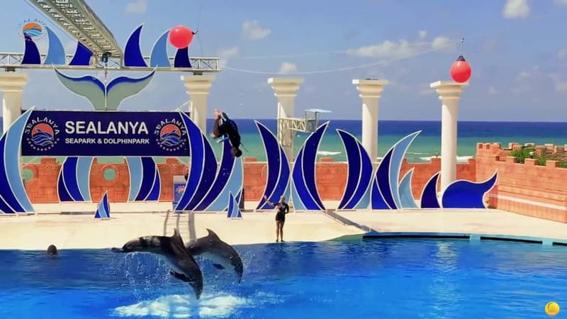 Alanya: Sealanya Dolphinpark Dolphin Show Tour - Is $53 good value for a family?