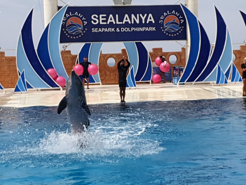 Alanya: Sealanya Dolphinpark Dolphin Show Tour - The strongest reasons to choose this experience