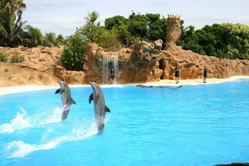 Alanya: Sealanya Dolphinpark Dolphin Show Tour - Hotel pickup makes the morning simple