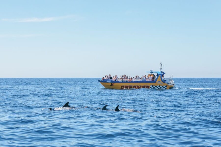 Albufeira: 2.5-Hour Benagil Caves & Dolphin Watching - Benagil Cave, with strict limits on time inside