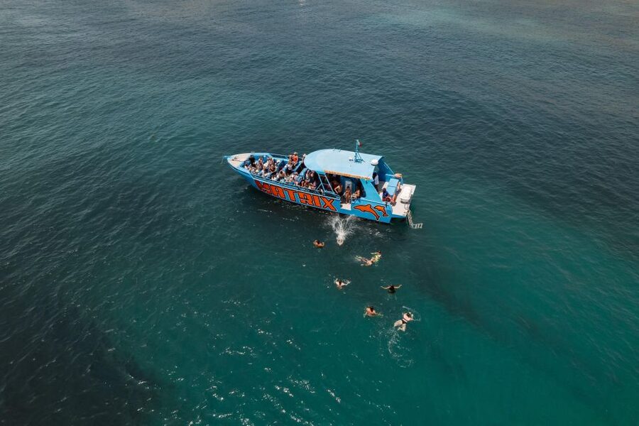 Albufeira: 2.5-Hour Dolphin Watching and Caves Trip - The quick Atlantic swim