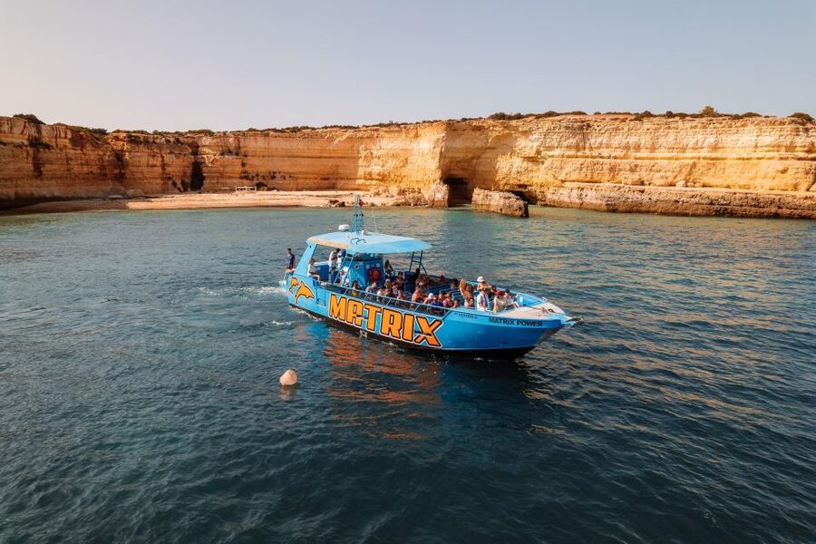 Albufeira: 2.5-Hour Dolphin Watching and Caves Trip - How the $41 price compares