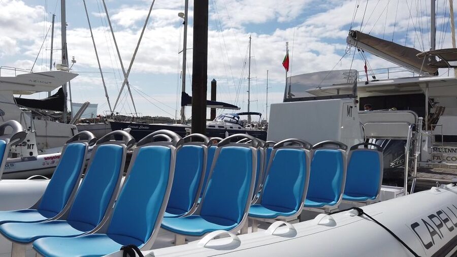 Albufeira: Benagil Cave and Dolphin Sightseeing Boat Cruise - Practical preparation for a smoother ride