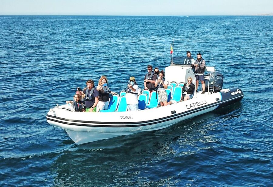 Albufeira: Benagil Cave and Dolphin Sightseeing Boat Cruise - The dolphin search is a bonus, not a promise