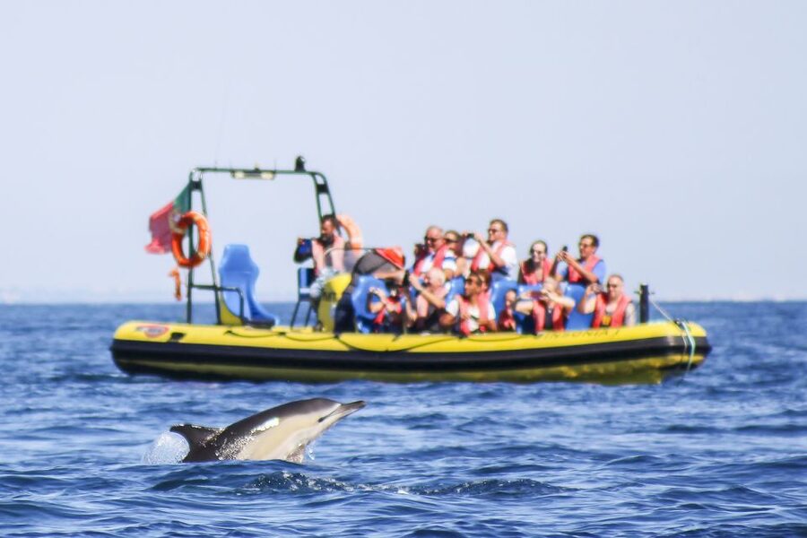 Albufeira: Benagil Caves & Dolphin Watching Speed Boat Tour - Key points to know before you go