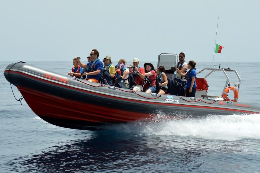 Albufeira: Dolphin Watching and Benagil Cave Boat Cruise - Benagil Cave and the Algarve’s sculpted cliffs