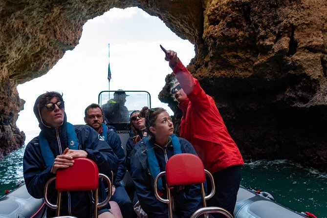Albufeira: Dolphins and Caves Private Tour - Setting out from Albufeira Marina