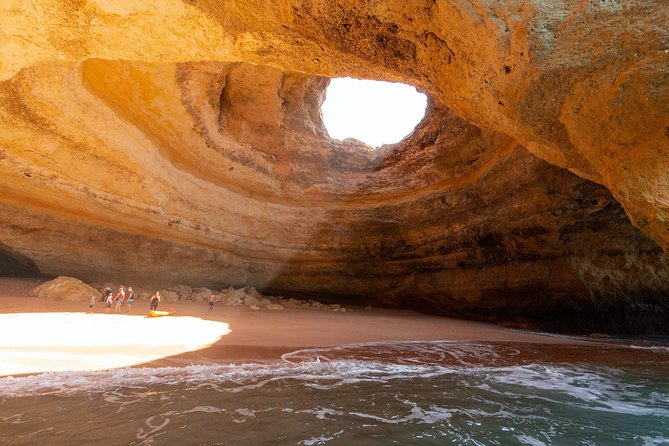 Albufeira: Dolphins and Caves Private Tour - Searching for dolphins in the open sea