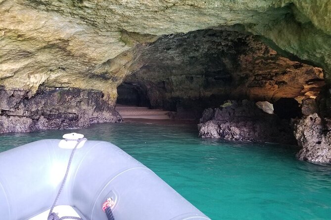 Albufeira: Dolphins and Caves Tour - Who will enjoy this trip most?