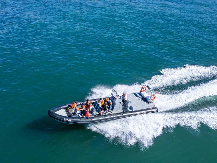 Albufeira: Dolphins & Benagil Caves RIB Tour - Coastal cliffs and caves from the water
