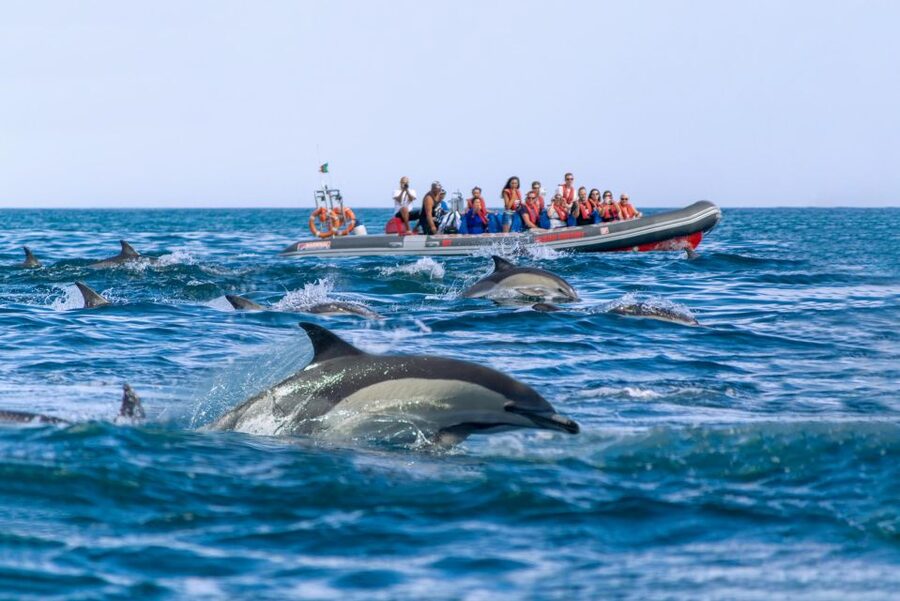 Albufeira: Dolphins & Benagil Caves RIB Tour - Benagil Cave, with conditions in charge