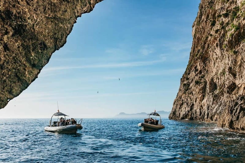 Alcudia or Can Picafort: Dolphin-Watching Cruise - Key points to know before booking