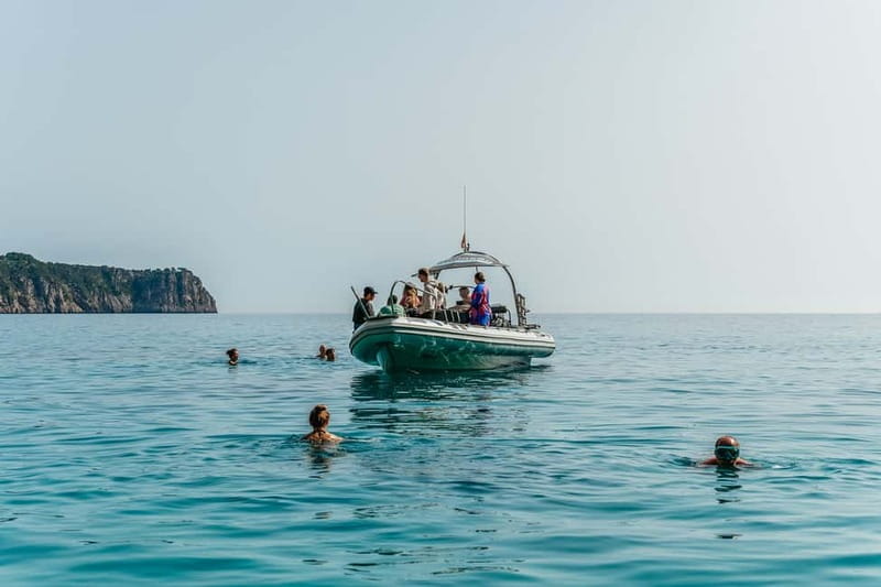 Alcudia or Can Picafort: Dolphin-Watching Cruise - Should you book the Alcudia dolphin cruise?