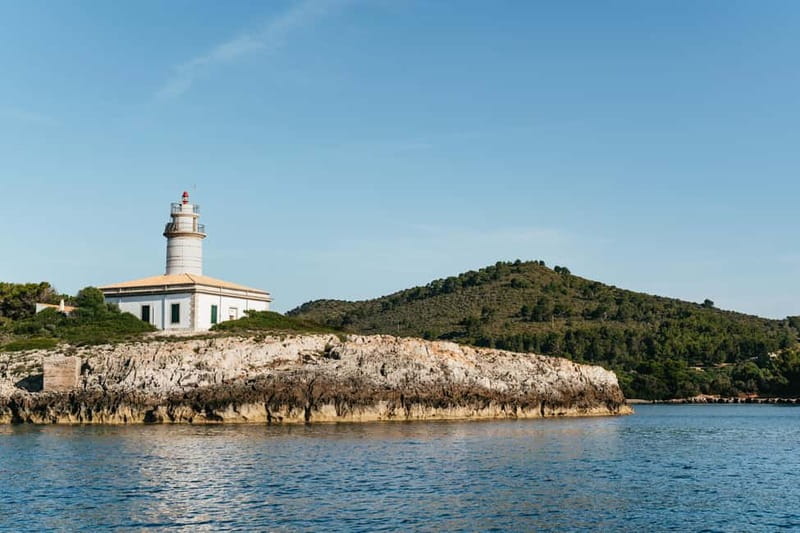 Alcudia or Can Picafort: Dolphin-Watching Cruise - Racing toward Cabo Formentor