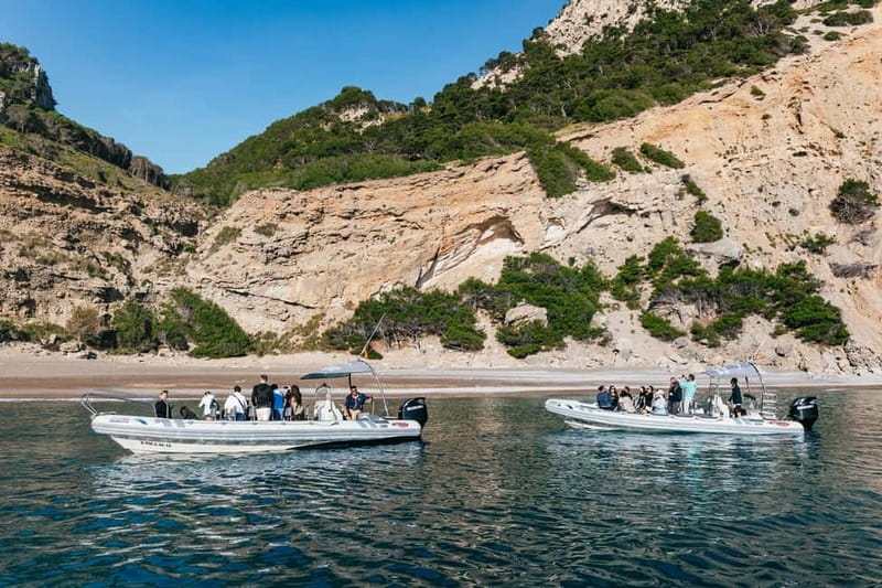 Alcudia or Can Picafort: Dolphin-Watching Cruise - Sea caves and the return along the cliffs