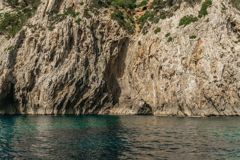 Alcudia or Can Picafort: Dolphin-Watching Cruise - What the $100 price gets you