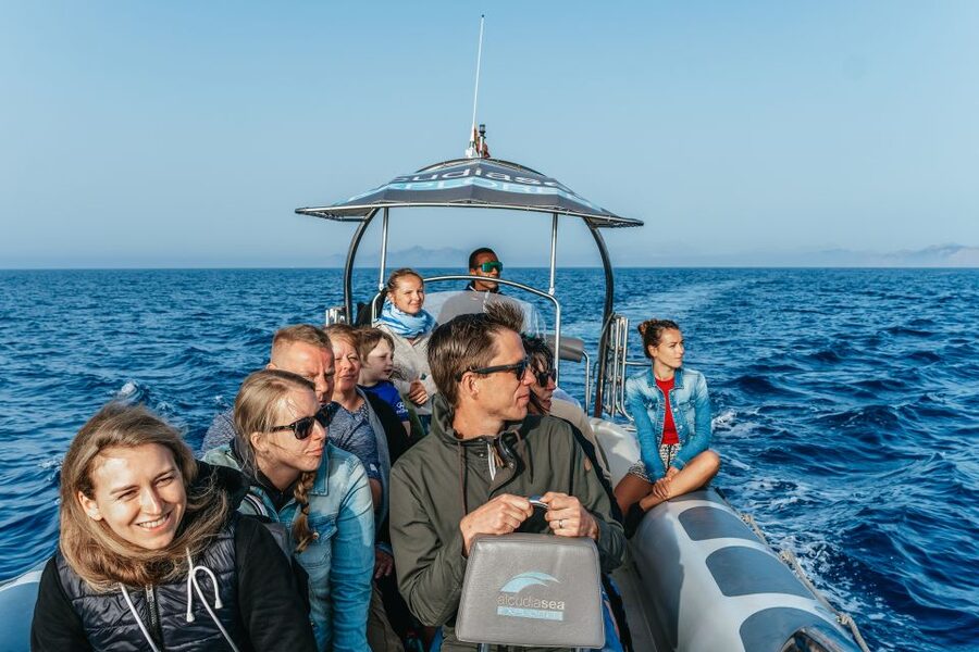 Alcudia or Can Picafort: Dolphin-Watching Cruise - Who will enjoy this boat trip