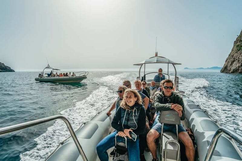 Alcudia or Can Picafort: Dolphin-Watching Cruise - Practical timing and weather advice