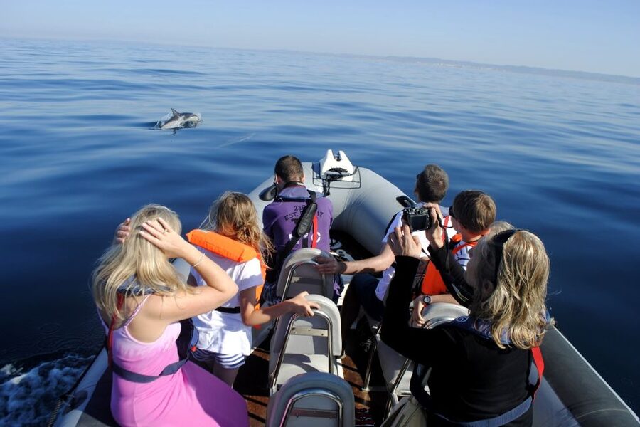 Algarve Dolphin Watching & Marine Life Eco Tour - Returning past Culatra Island