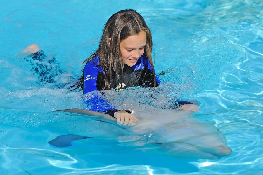 Algarve Zoomarine Ticket and Dolphin Emotions Experience - Key points to know before booking