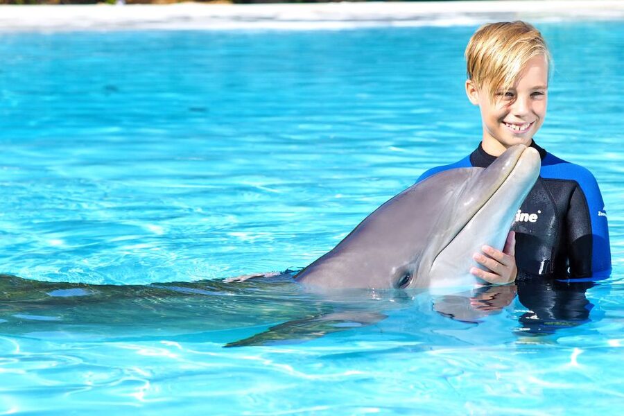 Algarve Zoomarine Ticket and Dolphin Emotions Experience - FAQ