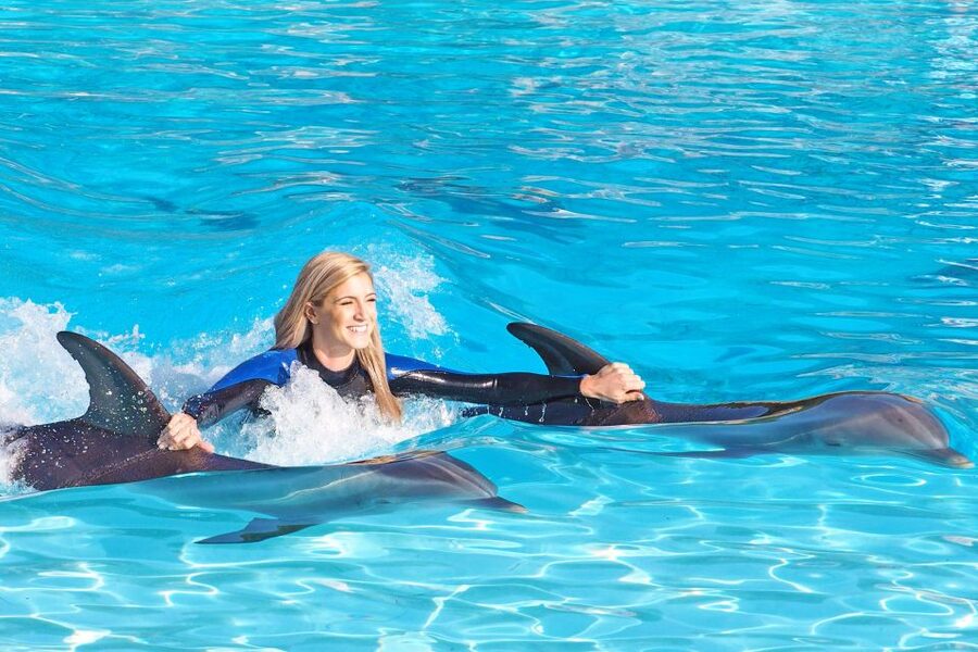 Algarve Zoomarine Ticket and Dolphin Emotions Experience - A dolphin meeting in a sandy Algarve lagoon