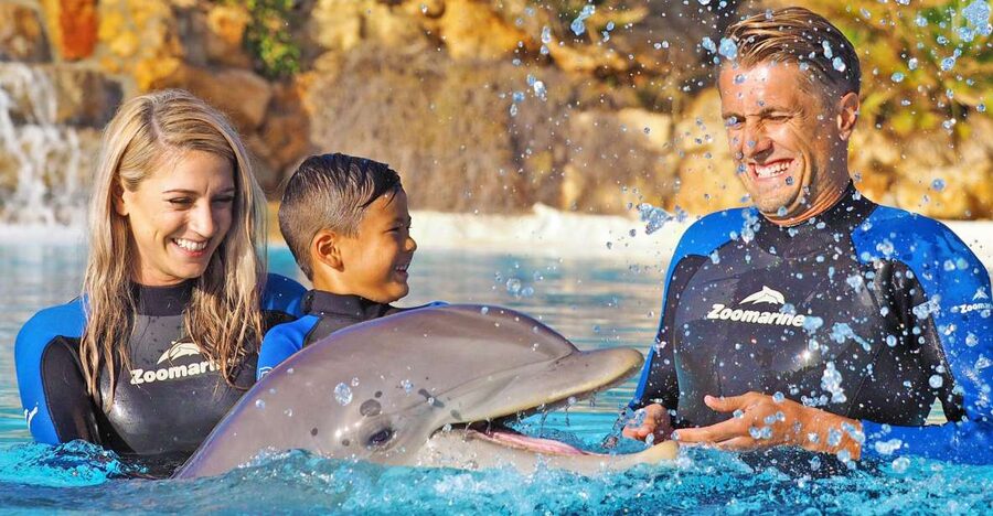 Algarve Zoomarine Ticket and Dolphin Emotions Experience - The Exclusive option: a private session for two