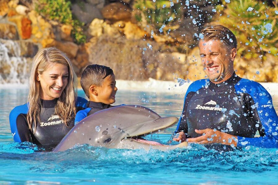 Algarve Zoomarine Ticket and Dolphin Emotions Experience - What the trainers add to the experience