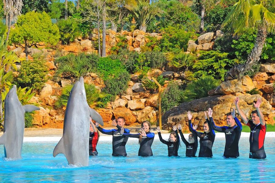 Algarve Zoomarine Ticket and Dolphin Emotions Experience - Is $142 good value?