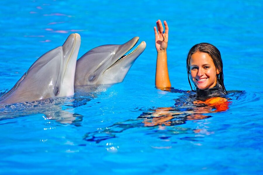 Algarve Zoomarine Ticket and Dolphin Emotions Experience - Who should book this dolphin experience?