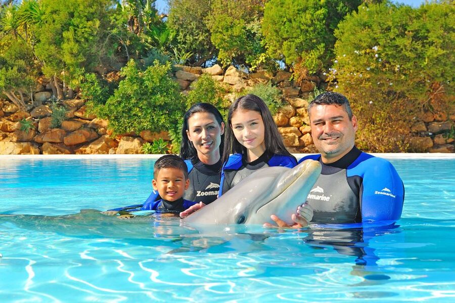 Algarve Zoomarine Ticket and Dolphin Emotions Experience - The Encounter option: short, close, and family-friendly